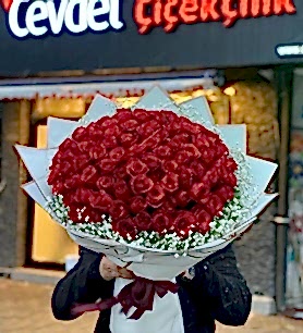 Kırmızı Gül 101 Adet